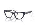Jimmy Choo JC 3014 5023 54 Women glasses