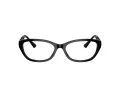 Jimmy Choo JC 3015 5000 53 Women glasses