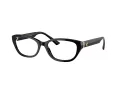 Jimmy Choo JC 3015 5000 55 Women glasses