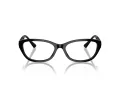 Jimmy Choo JC 3015 5000 55 Women glasses