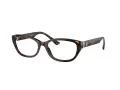 Jimmy Choo JC 3015 5002 53 Women glasses