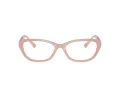 Jimmy Choo JC 3015 5014 55 Women glasses