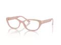 Jimmy Choo JC 3015 5014 55 Women glasses