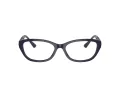 Jimmy Choo JC 3015 5023 53 Women glasses