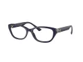 Jimmy Choo JC 3015 5023 53 Women glasses