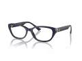 Jimmy Choo JC 3015 5023 53 Women glasses