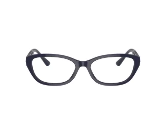 Jimmy Choo JC 3015 5023 55 Women glasses