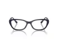 Jimmy Choo JC 3015 5023 55 Women glasses