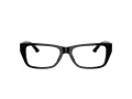 Jimmy Choo JC 3016 5000 52 Women glasses