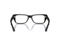 Jimmy Choo JC 3016 5000 52 Women glasses