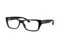 Jimmy Choo JC 3016 5000 54 Women glasses