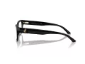 Jimmy Choo JC 3016 5000 54 Women glasses