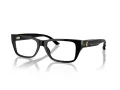 Jimmy Choo JC 3016 5000 54 Women glasses