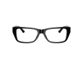 Jimmy Choo JC 3016 5017 54 Women glasses
