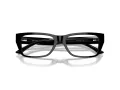 Jimmy Choo JC 3016 5017 54 Women glasses