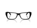 Jimmy Choo JC 3016 5017 54 Women glasses