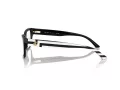 Jimmy Choo JC 3016 5017 54 Women glasses