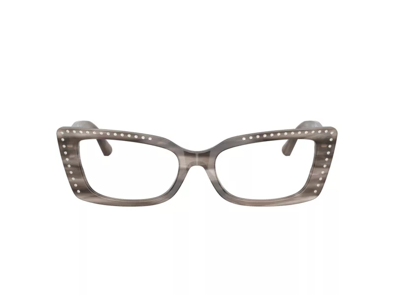 Jimmy Choo JC 3018B 5056 53 Women glasses