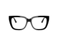 Jimmy Choo JC 3019B 5000 54 Women glasses