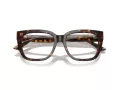 Jimmy Choo JC 3019B 5002 52 Women glasses