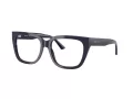 Jimmy Choo JC 3019B 5016 52 Women glasses