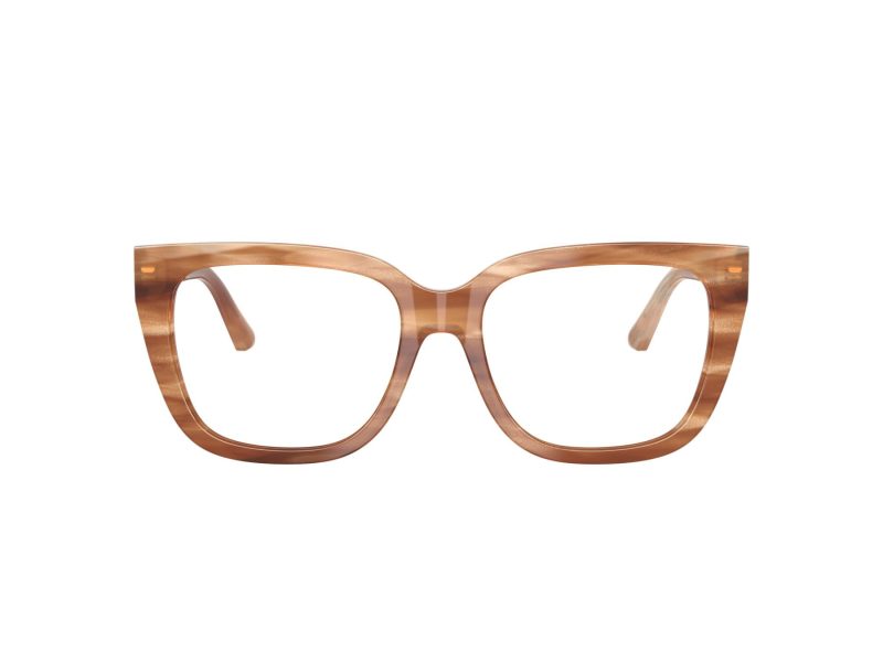 Jimmy Choo JC 3019B 5055 54 Women glasses