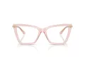 Jimmy Choo JC 3020B 5034 55 Women glasses