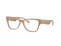 Jimmy Choo JC 3022H 5058 52 Women glasses