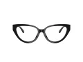 Jimmy Choo JC 3023HU 5000 55 Women glasses