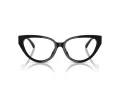 Jimmy Choo JC 3023HU 5000 55 Women glasses