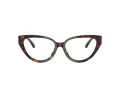 Jimmy Choo JC 3023HU 5002 55 Women glasses