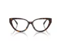 Jimmy Choo JC 3023HU 5002 55 Women glasses