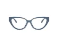 Jimmy Choo JC 3023HU 5020 55 Women glasses