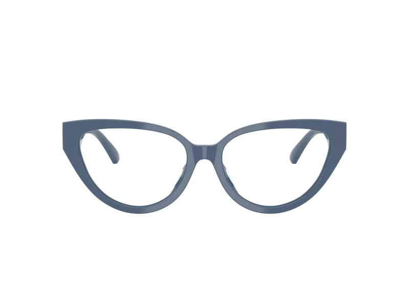 Jimmy Choo JC 3023HU 5020 55 Women glasses