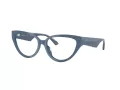 Jimmy Choo JC 3023HU 5020 55 Women glasses