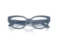 Jimmy Choo JC 3023HU 5020 55 Women glasses
