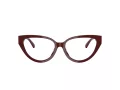 Jimmy Choo JC 3023HU 5057 53 Women glasses