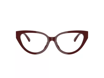 Jimmy Choo JC 3023HU 5057 53 Women glasses