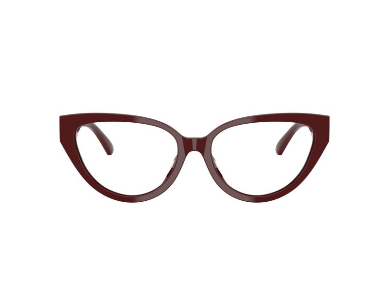 Jimmy Choo JC 3023HU 5057 55 Women glasses
