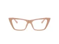 Jimmy Choo JC 3025 5019 54 Women glasses