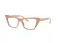 Jimmy Choo JC 3025 5019 54 Women glasses
