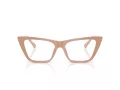 Jimmy Choo JC 3025 5019 54 Women glasses