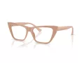 Jimmy Choo JC 3025 5019 54 Women glasses