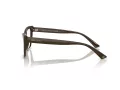Jimmy Choo JC 3025 5060 52 Women glasses
