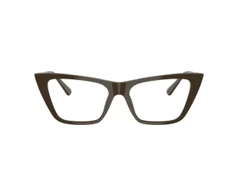 Jimmy Choo JC 3025 5060 54 Women glasses