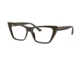 Jimmy Choo JC 3025 5060 54 Women glasses