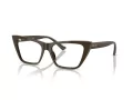 Jimmy Choo JC 3025 5060 54 Women glasses
