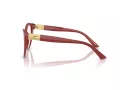 Jimmy Choo JC 3026 5013 53 Women glasses