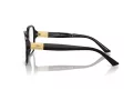 Jimmy Choo JC 3027 5000 52 Women glasses