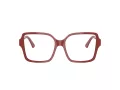 Jimmy Choo JC 3027 5013 54 Women glasses